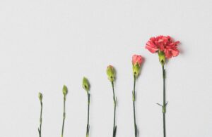 比較してしまう自分を責めなくていい。ワーママのための心の整え方